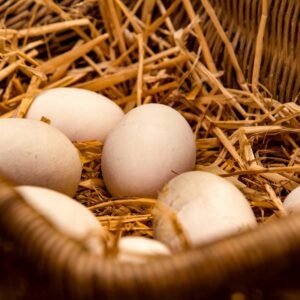 6 Unidades De Huevos (L)