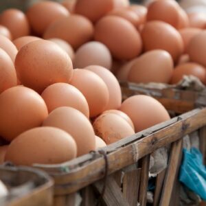 Combo Para Mercado De 150 Huevos