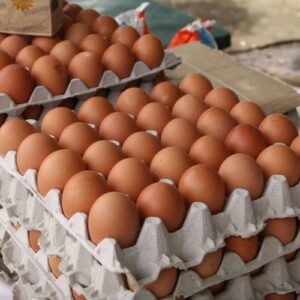 Combo 200 Huevos Para Empresas