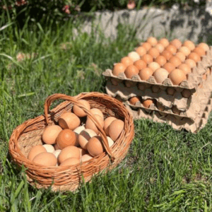 Combos de Huevos Orgánicos