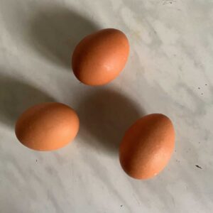 Huevos Orgánicos Medianos
