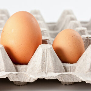 Huevos Orgánicos Grandes